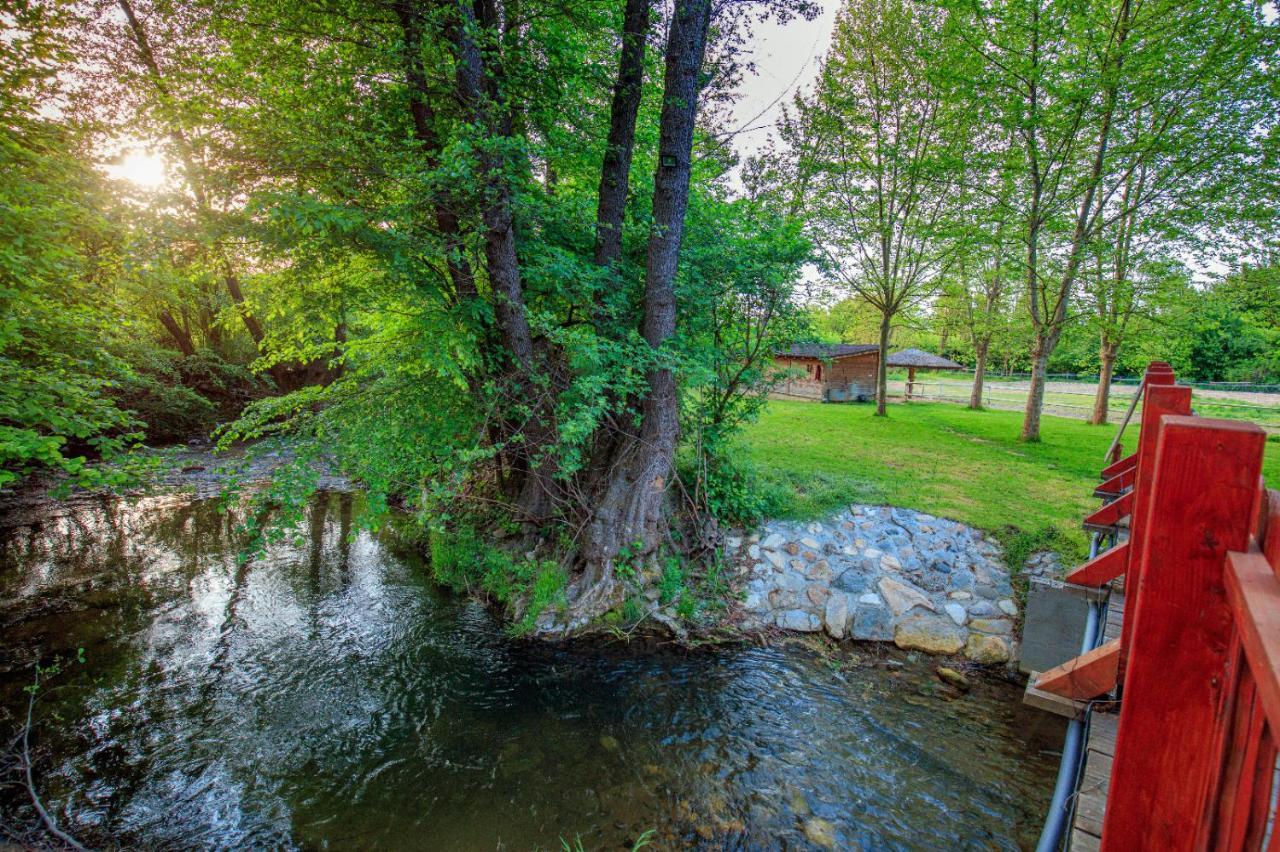 Villa Amigosranch à Kruševac Extérieur photo